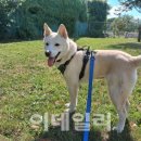 다니엘 농장 이미지