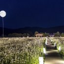 이효석농장 이미지