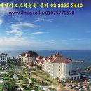 대명리조트 콘도회원권 으로 여유로운 삶을 즐겨보자. 이미지