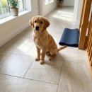 타일인 스타일 이미지