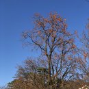 죽정습지 이미지