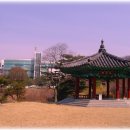 하늘관