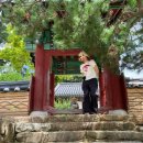 동화사 | 🐾 강아지와 다녀온 팔공산 동화사 후기 | 기와기도부터 타종 체험까지 힐링 산책 🔔