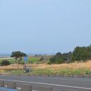 1943 군산점 | [제주오름] 대정읍 송악산 주변의 알오름(동알오름 ~ 셋알오름 ~ 섯알오름) 답사후기