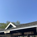태국 끄라비 방콕 신혼여행(5) - 방콕사파리월드/만짜이마사지/라마9세공원/세리마켓/터미널21/피어21