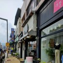 커피 마시는 코끼리 이미지