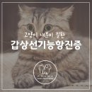 마인동물의료센터 이미지