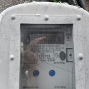 블루콘텔 이미지