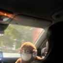 대학로155번길 이미지