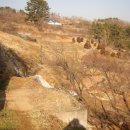 금성우체국 이미지