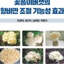 버섯과면역