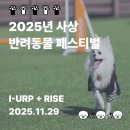 올바른 반려견 보호자 교육 | [후기] 반려견도 사람도 웃음 가득!🐶🎉 2025 사상 반려동물 축제 다녀왔어요💕🐾