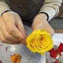 사진 기초에서 작품까지 | 화사랑숲길 프리저브드플라워 창업반 기초과정 소형화기 꽃다발 만들기