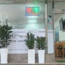 진정한 생선구이 네이버블로그