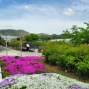 고성군농업기술센터 | 4월 경남여행 : 고성 가볼만한곳 : 고성군농업기술센터 초화원