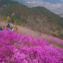 (주)양지약품 이미지