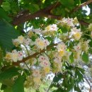 바람의정원 이미지