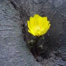 찬물내기 이미지