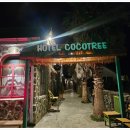 코코 | 제주 한경면 독채 숙소 추천│제주에서 동남아 여행 온 줄... 호텔 코코트리 브라운코코 후기