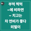 The Cats & Dog | 김재우영어회화 스픽 영어표현 I 부먹찍먹 에 비하면 외벌이 치고는 차연비 영어로