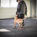 루카스독트레이닝 이미지