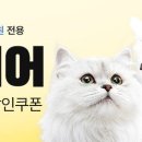 펫# 이미지