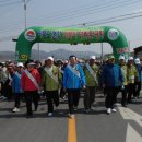 김천시 아포읍 건강거북이 마라톤 대회 개최 이미지