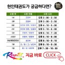 현인태권도장 이미지