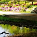 방축천4 도담1교 이미지