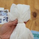 쪽빛나라 이미지