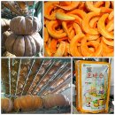 참샘골농장 이미지