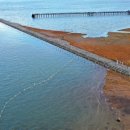 무안생태갯벌과학관 이미지