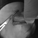 기장i동물의료센터 이미지