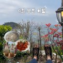 부안 매직 페스타 | 4월 부안 여행 2일차