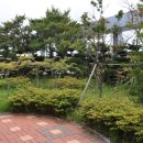 상쾌한 항구병원 이미지