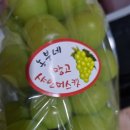 부흥청과 네이버블로그