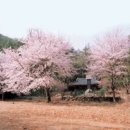 지산카서비스 이미지