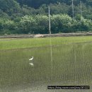 바다갯벌펜션민박 | 인천 강화 볼음도 고센펜션 백합 캐기 5월 갯벌 체험 1박2일 후기