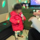 제주벨루가 이미지