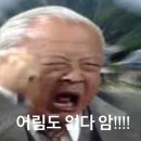 초콜릿랜드 네이버블로그