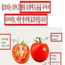 ♧2026년 8월 7일 신문을 통해 알게 된 것들 이미지