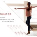 에너프(ENERF) 이미지