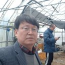 태인농장2 네이버블로그
