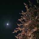 (주)꽃보다 크린 이미지