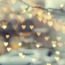 오송모아공인중개사사무소 이미지