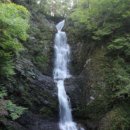 이화가든식당 이미지