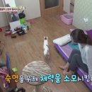 동식농장 이미지