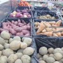 강원양돈농협 하나로마트 이미지