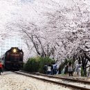 541 이미지