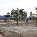트리앤캠프스토리 이미지